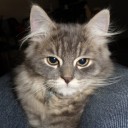 สมาชิกหมายเลข 3215757