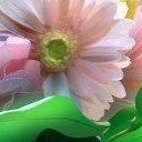 สมาชิกหมายเลข 761447