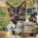 สมาชิกหมายเลข 3216369