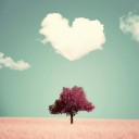 สมาชิกหมายเลข 761951