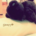 สมาชิกหมายเลข 1233099