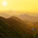 สมาชิกหมายเลข 2550586