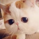 สมาชิกหมายเลข 3174694