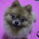 สมาชิกหมายเลข 3216699