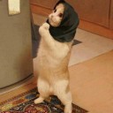 สมาชิกหมายเลข 762201