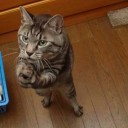 สมาชิกหมายเลข 1921565