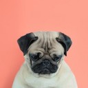 สมาชิกหมายเลข 1854340