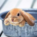 สมาชิกหมายเลข 2394936