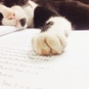 สมาชิกหมายเลข 2793335