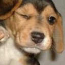 สมาชิกหมายเลข 762653