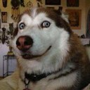 สมาชิกหมายเลข 700689