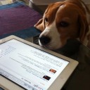 สมาชิกหมายเลข 1505152