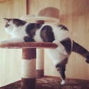 สมาชิกหมายเลข 1525065