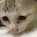 สมาชิกหมายเลข 1790297