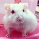 สมาชิกหมายเลข 2793846