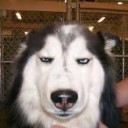 สมาชิกหมายเลข 2101381