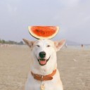 สมาชิกหมายเลข 2765281