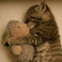 สมาชิกหมายเลข 1162464