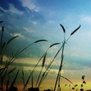 สมาชิกหมายเลข 725649