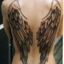 PEGASUS ม้ามีปีก