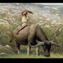 สมาชิกหมายเลข 1027363