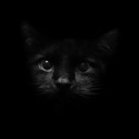 สมาชิกหมายเลข 2786674