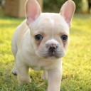 สมาชิกหมายเลข 3199403