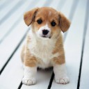 สมาชิกหมายเลข 3218671