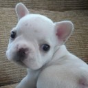 สมาชิกหมายเลข 763798