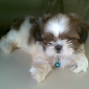 สมาชิกหมายเลข 763934