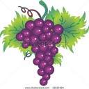 สมาชิกหมายเลข 1057229