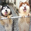 สมาชิกหมายเลข 1999448