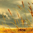 สมาชิกหมายเลข 906605