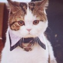 สมาชิกหมายเลข 1106595