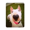 สมาชิกหมายเลข 1182056