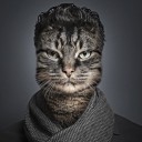 สมาชิกหมายเลข 1058934