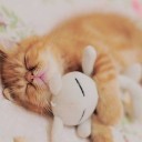 สมาชิกหมายเลข 1572236