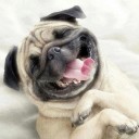 สมาชิกหมายเลข 1993519