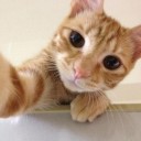 สมาชิกหมายเลข 2795759