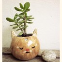 อยากเห็นเธอตอนแก่จัง