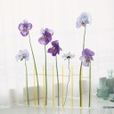 สมาชิกหมายเลข 765191