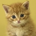 สมาชิกหมายเลข 1165108