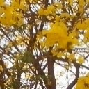 สมาชิกหมายเลข 1165253