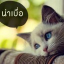 สมาชิกหมายเลข 1165275