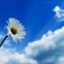 ก้อนเมฆสีขาว