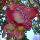 สมาชิกหมายเลข 704776