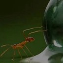 สมาชิกหมายเลข 2209146