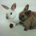 สมาชิกหมายเลข 2397562