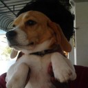 สมาชิกหมายเลข 2397779