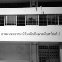 สมาชิกหมายเลข 1953999